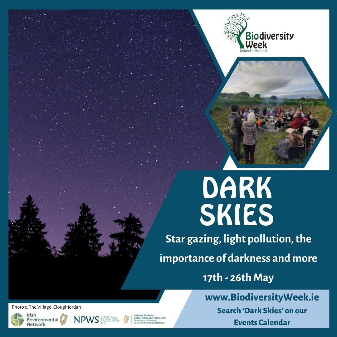 Are you a night owl? Explore the outdoors at night this Biodiversity Week. Discover bats, star gazing, nocturnal woodland walks and more!

Search 'Dark Skies' in our category dropdown on our events calendar: biodiversityweek.ie/events-calenda… 

@NPWSIreland @HeritageHubIRE @darkskyireland