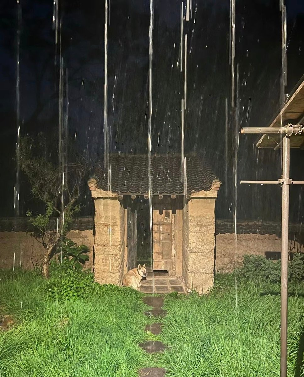 夜雨山村客。