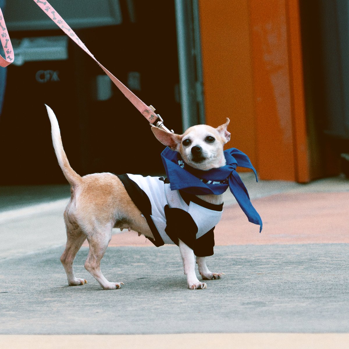 Healthy Minds, Healthy Communities (HMHC) tweet media