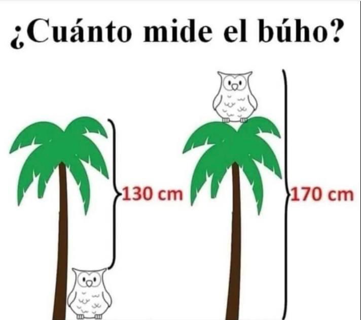 Informa Cosmos tweet media