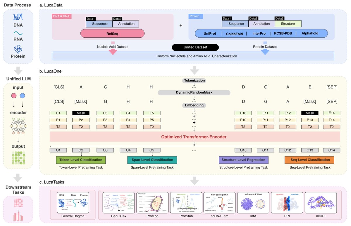 LucaOne: Generalized Biological Foundation Model with Unified Nucleic Acid and Protein Language biorxiv.org/content/10.110…