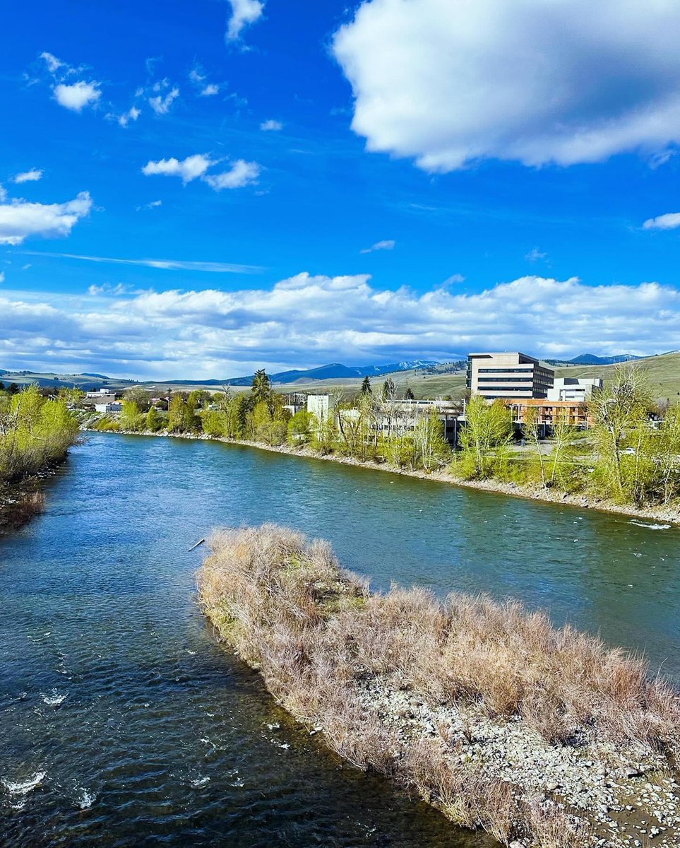 Spring is in the air 🌹 ☀️. 📸📍: Missoula, Montana, USA 🇺🇸 🏔️ ✈️ 🛂 💼 🧤 👔 😎 #missoula #montana #usa #edmproducer