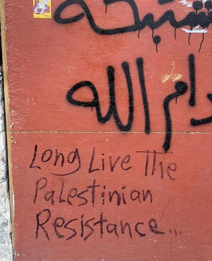 long live Palestine long live the resistance 🔻🇵🇸