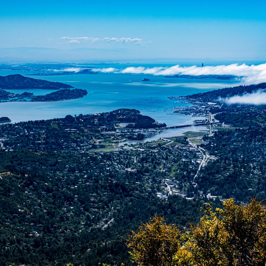 From the top of Mt Tamalpais, you can see the Mill Valley, Sausalito, and the many beauties of Marin County. ✨️

#mttam #sanfranciscobayarea #sfbayarea #sanfranciscobay #goldengatebridge #bayarea #marincounty #travelcalifornia #sfo #marinairporter