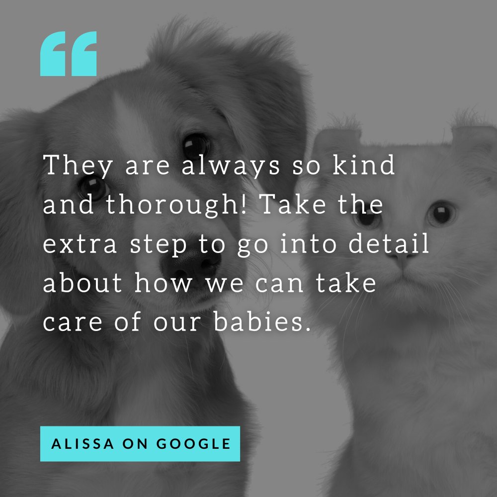 Thank you so much for the kind words, Alissa!

#AnimalMedicalCenter #SurpriseAZ #veterinarymedicine #veterinarian #review #happyclient #recommendation #clientrecommendation #clientreview