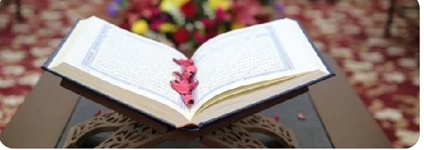 القرآن كالماء العذب ٳذا ٲرتوۍ منه قلب ضجة بقية الجوارح حياة 💦🕊 الر ﯿحانہ