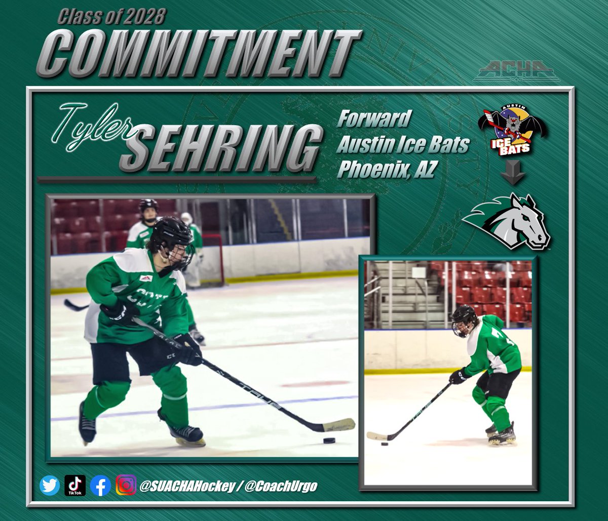 🚨 Commitment Alert 🚨

We are pleased to announce another commitment for fall of '24 and the class of '28!

Welcome FW- Tyler Sehring to the Stevenson University ACHA family!

Tyler comes to us from the Austin Ice Bats

#LL24 #family #greenhorses #rollstangs #collegehockey