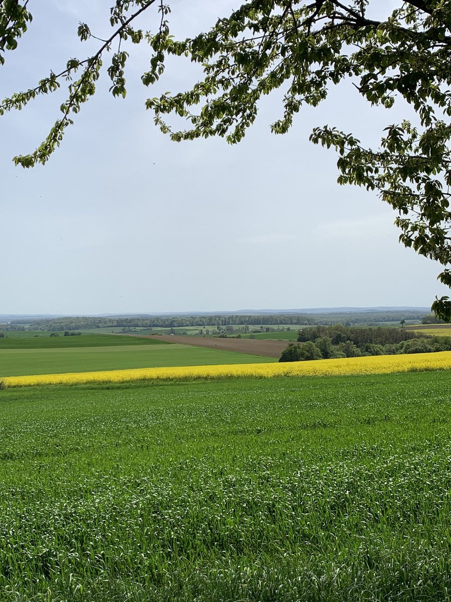 Mark_Balsiger's tweet photo. Das war meine Velotour an die Nordsee: Auf dem Col du Pierre Pertius schneite es, in Antwerpen zeigte das Thermometer 25 Grad. Die 800 Kilometer dazwischen: Frühling, vou brätsch! #Berne_Antwerp2024 #CyclingISfreedom #VelöleMachtGlücklich https://t.co/M06gvaDn0l