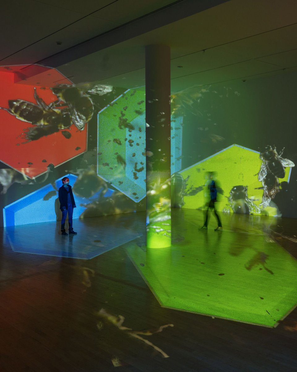 ‘Nature is everything that culture is not.’—#DianaThater, born #onthisday We're revisiting Thater’s vibrant 2015 mid-career retrospective at @LACMA which was comprised of videos and projection installations spanning nearly twenty-five years Learn more hw.visitlink.me/DO1_aa