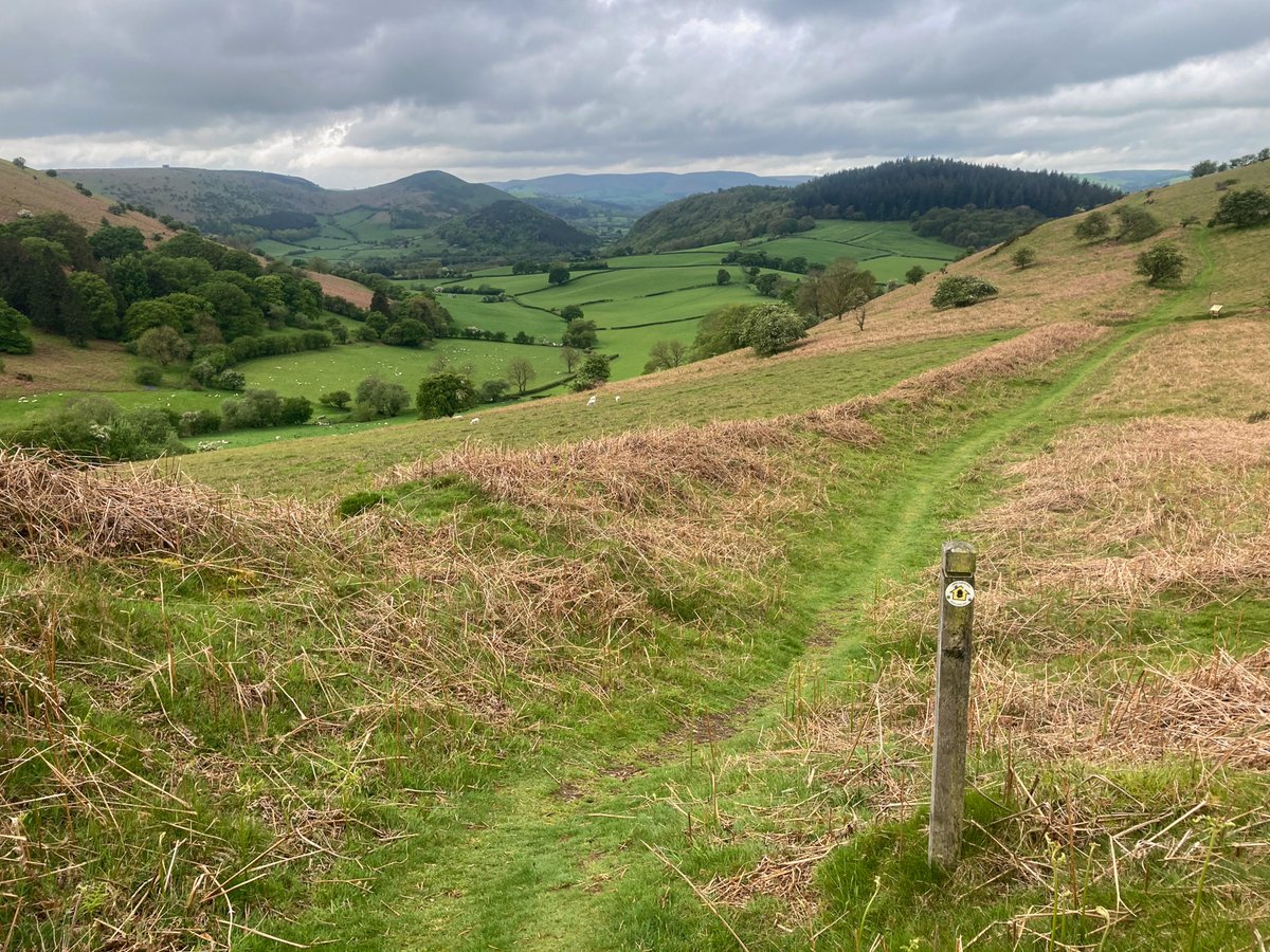 Land's End to Keswick, day 23: Kington to Knighton, 14 miles. Rolling, green, lush and lovely on day 5 of the @OffasDykePath with plenty of the dyke in evidence. Still bluebells in abundance. 365.25 miles to date.