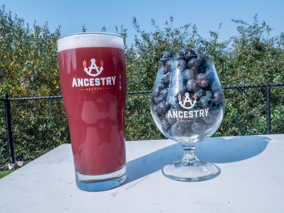 Blueberry Wheat is back on tap!!! Jam packed with blueberry puree from Oregon Fruit Products, you’ll get jammy fruit character on top of our American Wheat soft base.  #pdx #pdxcraftbeer #portlandcraftbeer #pdxfoodies #pdxfoodie #portlandfoodie  #oregoncraftbeer #oregonbeer