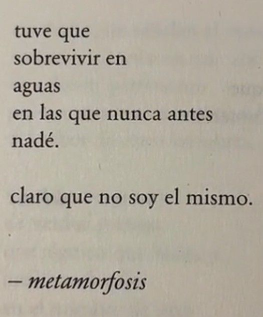 LetrasBreves's tweet image. 