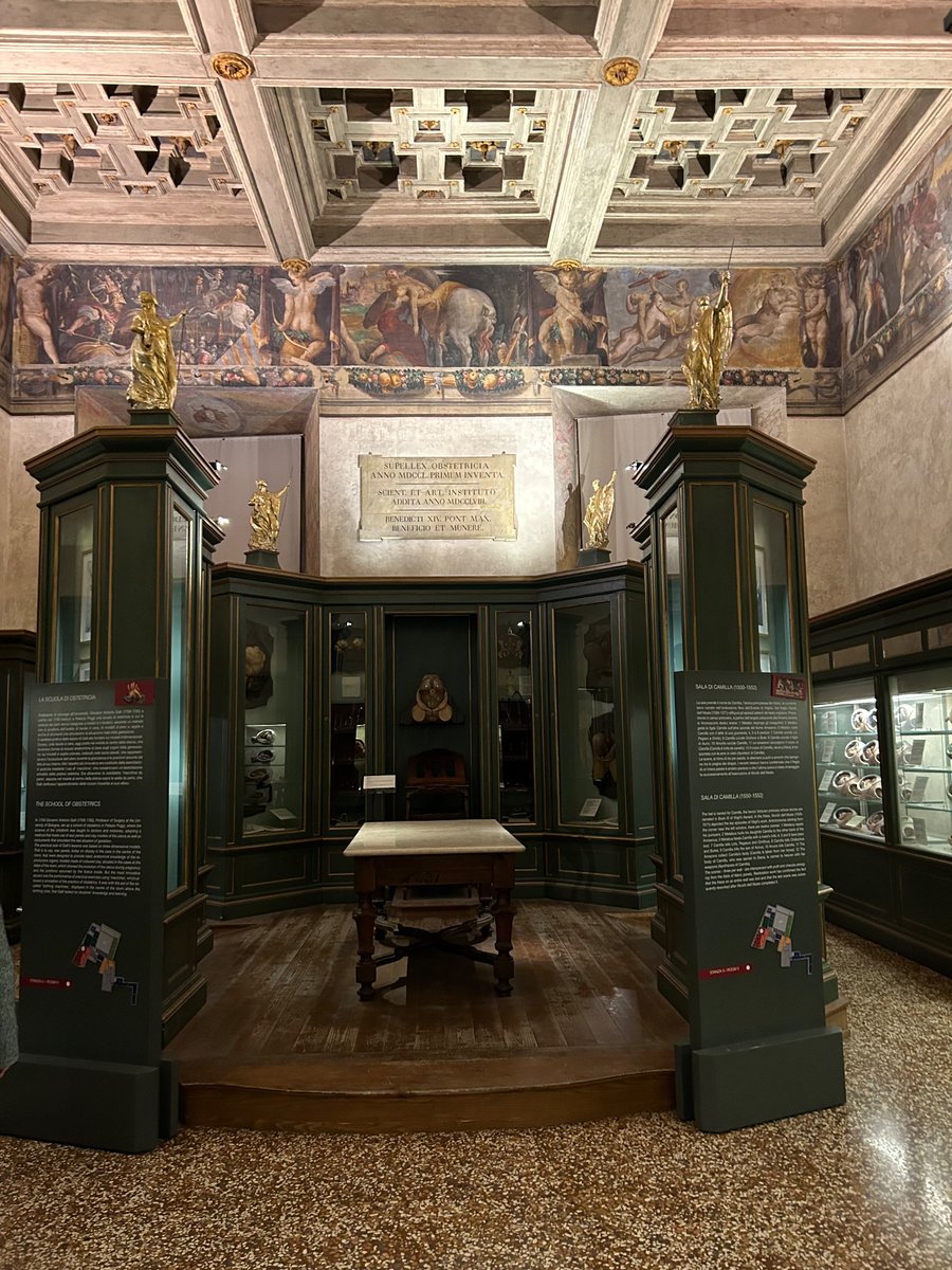 2024TGDisease's tweet photo. In Bologna ahead of the FEBS2024? Palazzo Poggi: visit the eighteenth-century anatomical waxes https://t.co/vkKS397ILj
@eliverdee @febsnews https://t.co/CyLym0aSAL