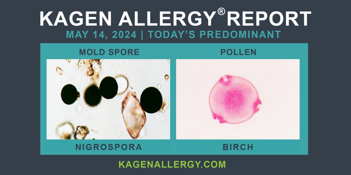 Today's predominant pollen and mold spore for #Wisconsin: May 14, 2024. Happy to see you. How may we help? kagenallergy.com/contact-the-te… #allergicreaction #allergy #allergies #asthma #allergytriggers