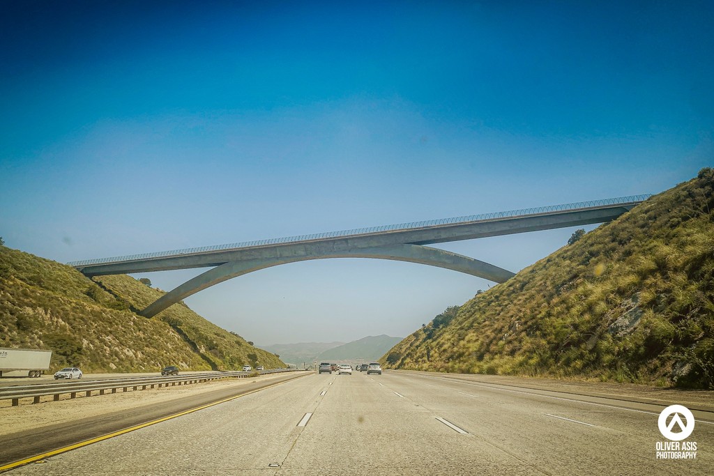 West Lilac Road Bridge.  A North San Diego County landmark.

#infrastructure #landmark #bridgesofinstagram #bridgesofcalifornia #engineering #civilengineering #sandiegocounty #sandiego