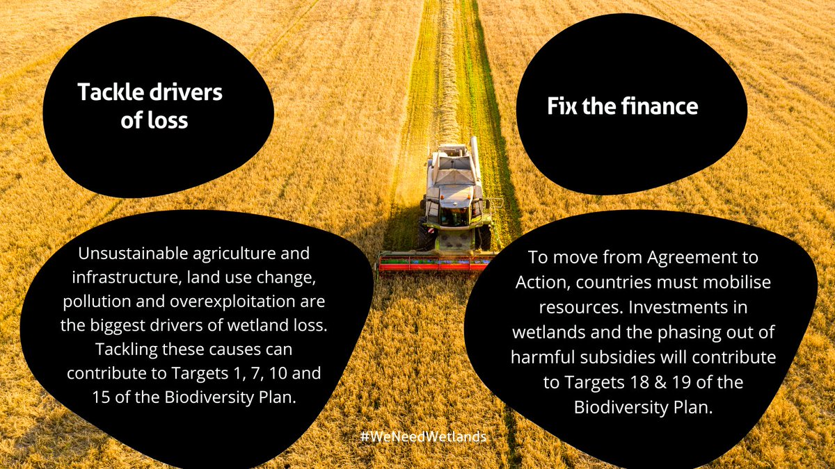 📢A new report highlights how national actions for #wetlands can help us achieve the #BiodiversityPlan. Read now: ramsar.org/document/scali… 
<a href="/WWF/">WWF</a> <a href="/IUCN/">IUCN</a> <a href="/UNBiodiversity/">UN Biodiversity</a> <a href="/IWMI_/">IWMI</a> <a href="/BirdLife_News/">BirdLife International</a> <a href="/RamsarConv/">Convention on Wetlands</a> <a href="/WWTworldwide/">WWT</a>