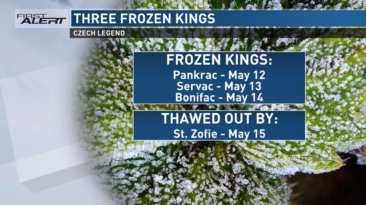 With temperatures only cooling to the 40s and 50s overnight, it looks like we'll make it through the year without a visit from the legendary 'Three Frozen Kings'. St. Zofie was must have been ahead of schedule this year! -Jan