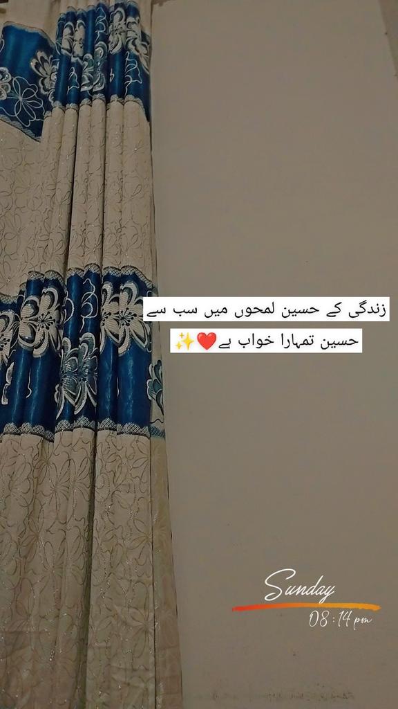 زندگی کے حسین لمحوں میں سب سے حسین تمہارا خواب ہے ❤️✨