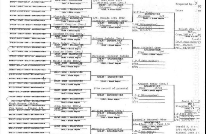 MichifMcKay's tweet photo. @MontanaWestern GG Jr is not Chippewa. Michel Gray is the grandson of Legend Kwarakante #MichelBand. If Gray grew up on Rocky Boy, there is no documentation to 'BACK IT UP'!
◀️🧐Tweet with link.
🔼▶️🧐Screenshot from article.
🔼◀️🧐BIA Copy of Ancestry from FOIA.
#LittleShellTribe https://t.co/qFrk5TWEpu