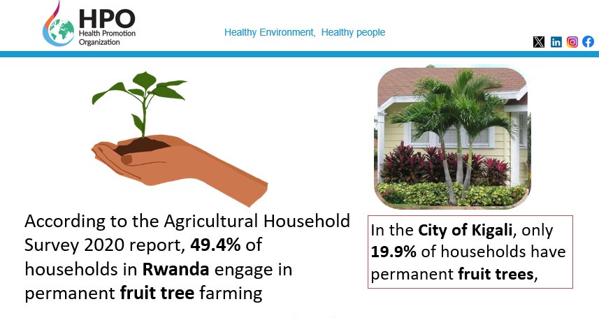 #RWOT Did you know that only 19.9% of households in the City of Kigali have #fruittrees? The prices of #fruits are increasing on a daily basis. What can be done to promote fruit tree plantation instead of planting #non-fruits trees ? Drop your comments @FAORwanda @CityofKigali