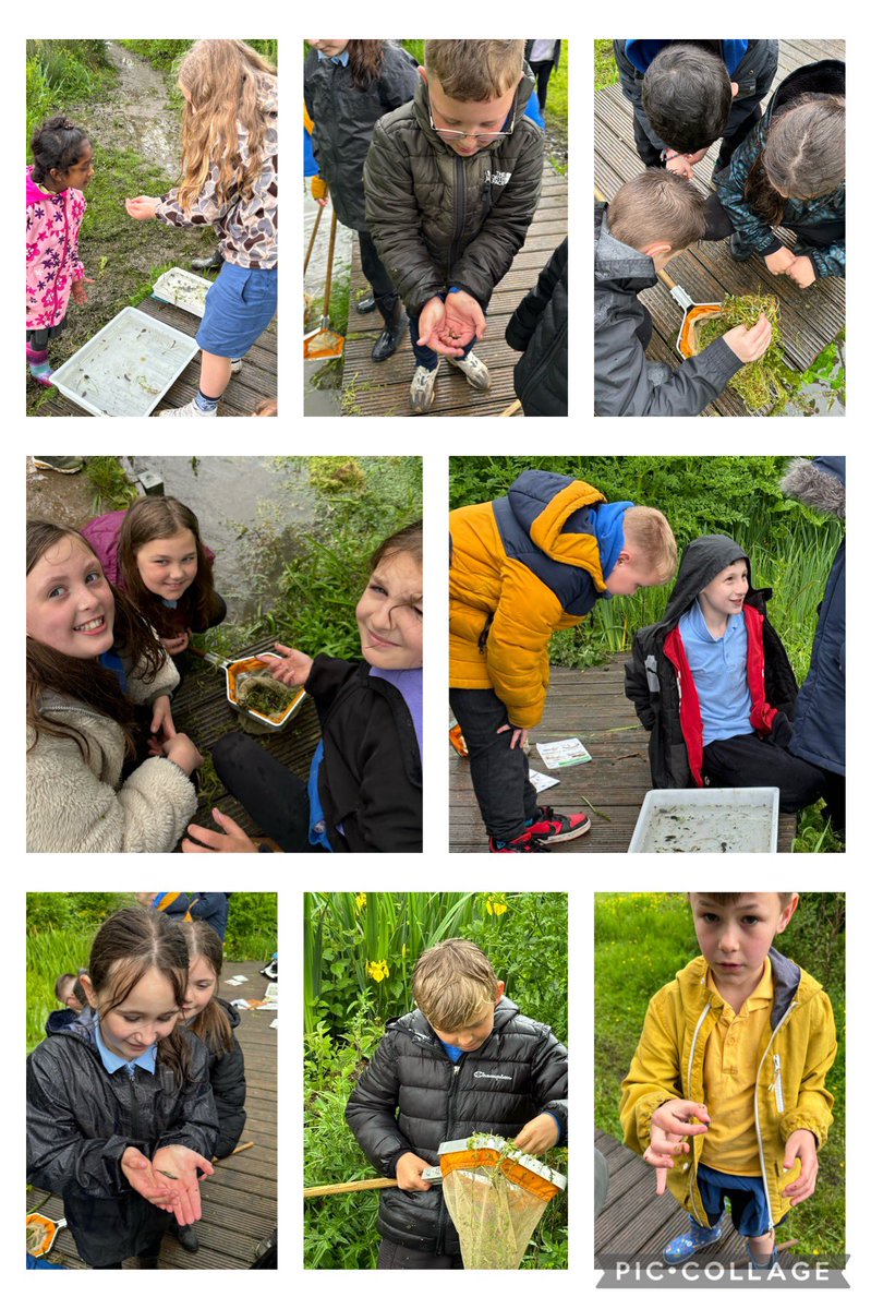 #CPSMawr had a fantastic time discovering living things in different habitats at Porthkerry Park 🐛 🐟 🪲