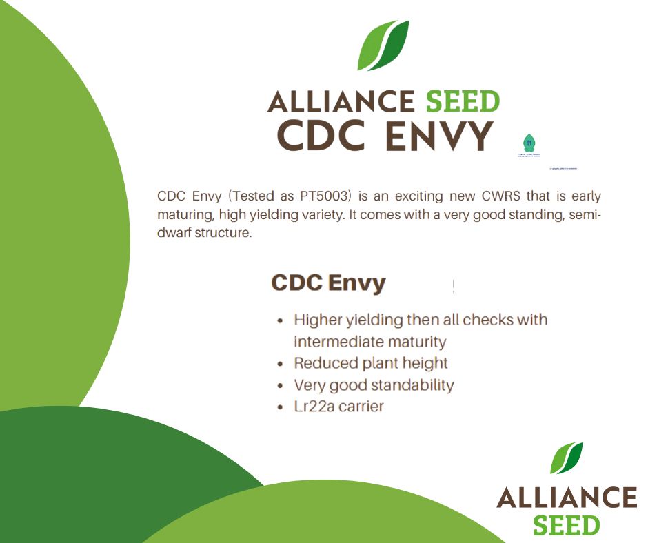 ITS HERE---> CDC ENVY 🌱 

An option for those who want:
💸 High yields
⏰ Early Maturity 
💪 Strong Standability

Available this spring. 

#CWRS #Plant24 #EverySeedStartsAStory
