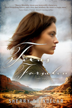 Texas Forsaken by @SherryShindelar - just one of the May 2024 New Releases from ACFW authors #newreleases #ChristianFiction  lorainenunley.com/may-2024-new-r… via @LoraineNunley