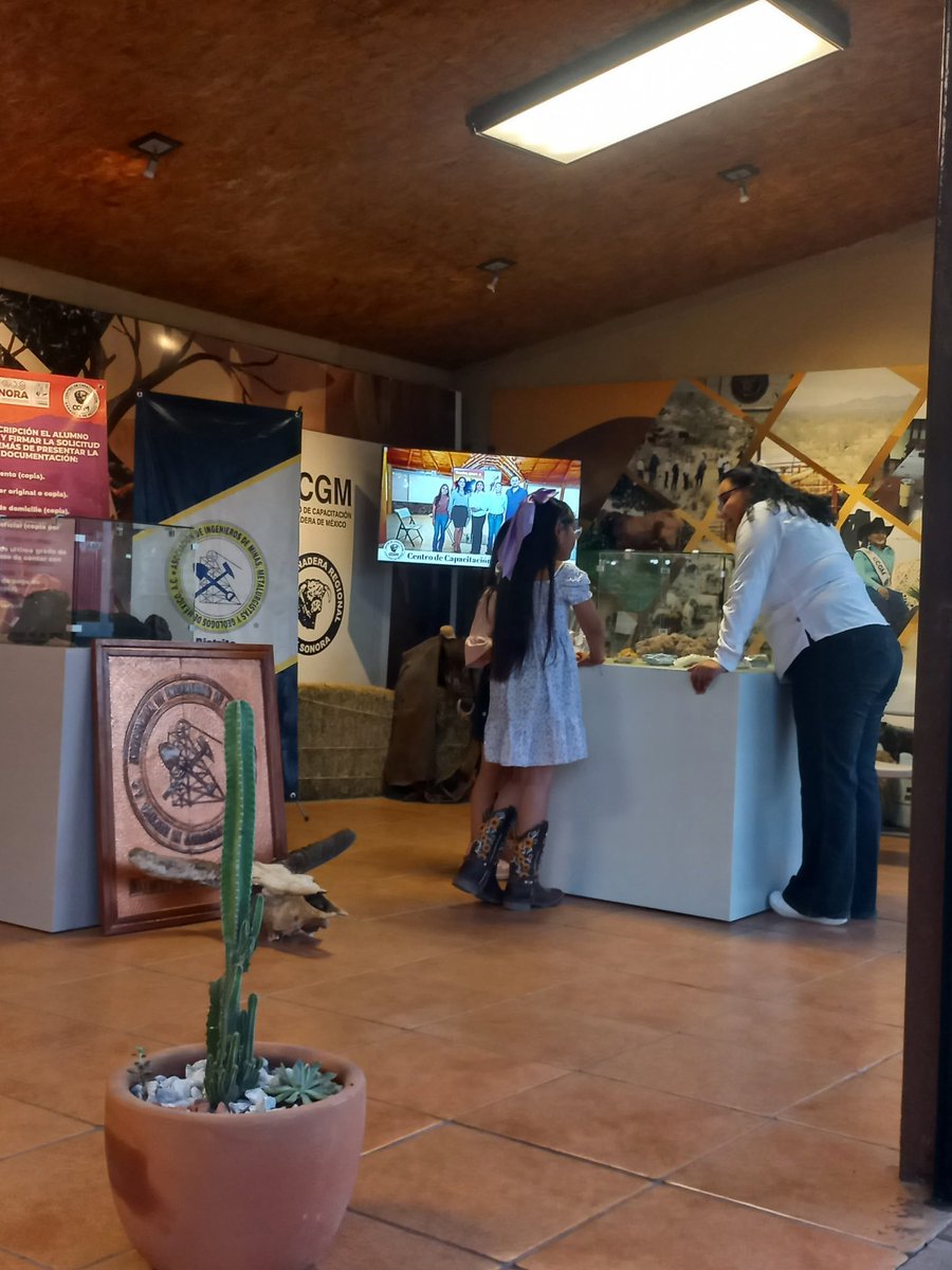 AIMMGM Sonora tweet media
