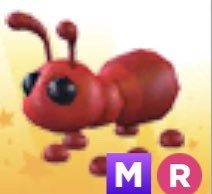 🌸adopt me giveaway🌸
Prize: mega ant 🔴🐜

Rules:
🌸Follow me 
🌸like and retweet 
🌸reply 'ant'

Ends: May 21 (PDT time)

Tags:
#Adoptmetrades #adoptmegiveaway #adoptmegiveaways #adoptmegw amp giveaway
