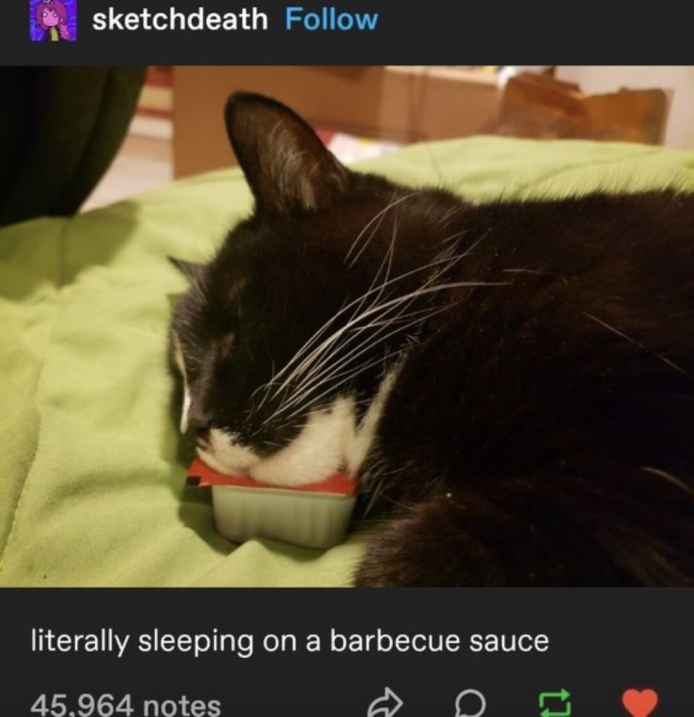 he lost in the sauce