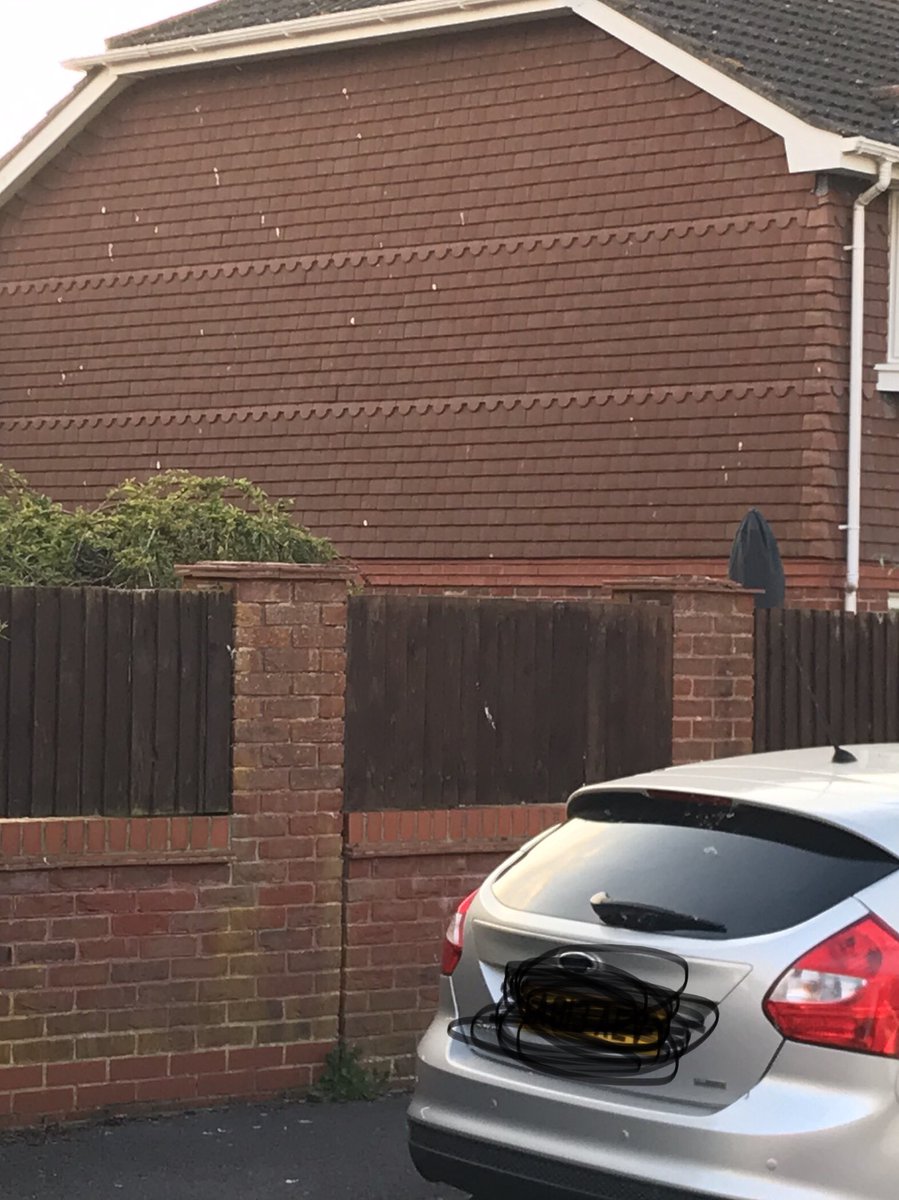 Ignore neighbour’s son’s car and look at the side of my house: all the white splotches are pigeon droppings.
This extravagant display continues over all my windows, the car, the conservatory roof, and the washing line.
#JacksonPollock would be pleased. 😐