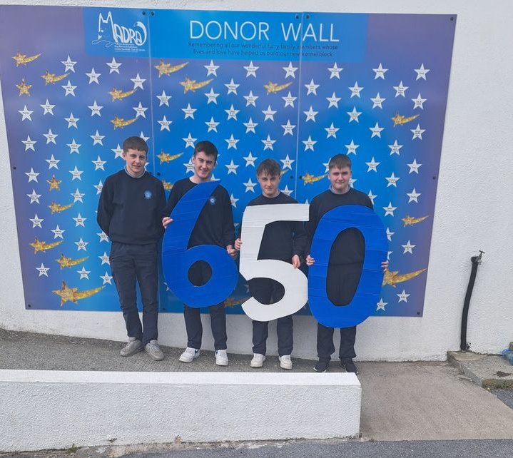 🎉 5th LCVP students  Year Scoil Chuimsitheach Chiaráin collected €650 for Madra by selling calenders 👏👏

Thank you to Callam, Éanna & Pádraig Seosamh for your support 🙏💙

We rely on your kindness & generosity so we can help #dogs 🙏 
madra.ie/donate/

#AdoptDontBuy