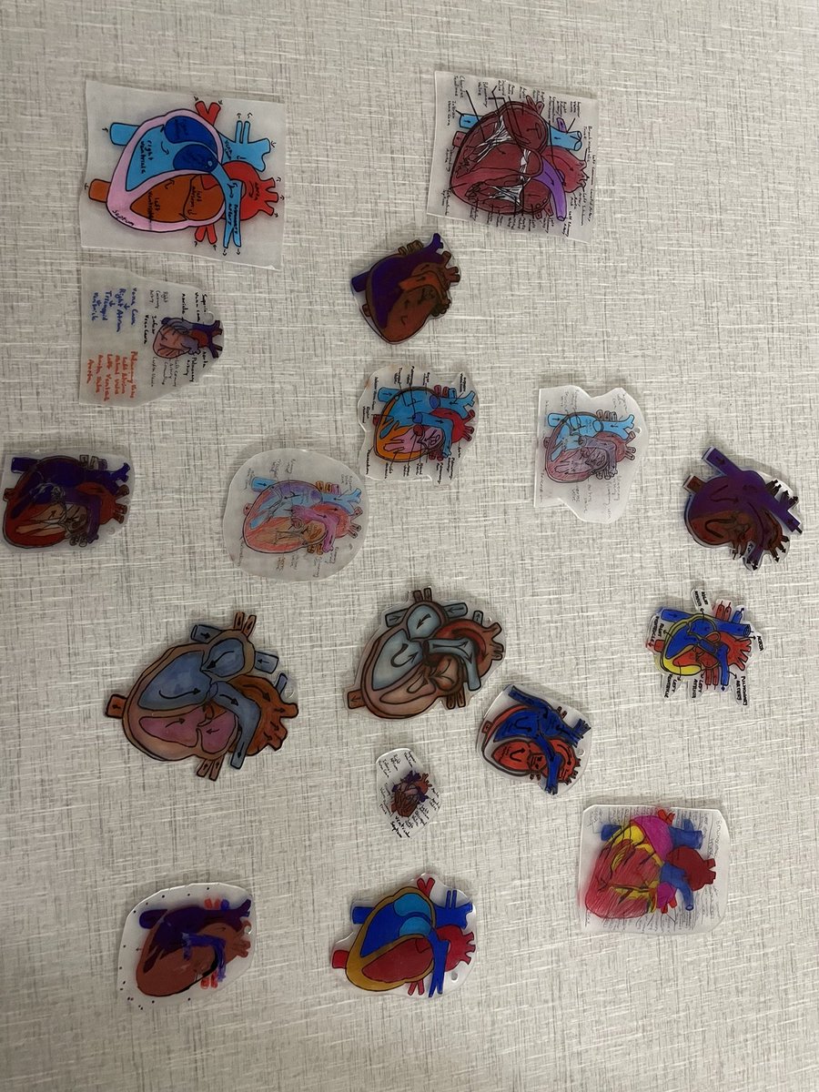 Fun with shrinky dinks, Anatomy edition. @IHHSPrincipal <a href="/IHHS_AP/">Danielle Lintz</a>