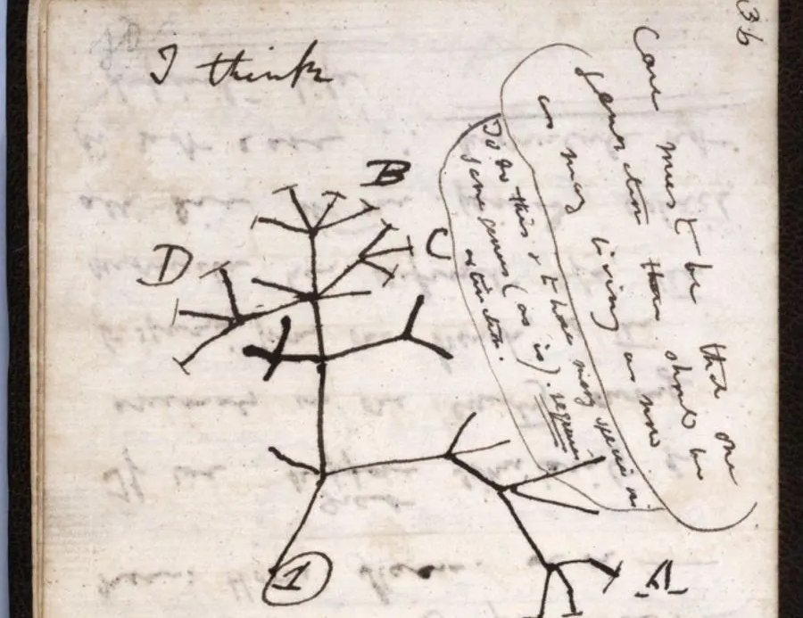 #OnThisDay in 1856, Charles Darwin noted in his journal 'began...writing species sketch.' This 'sketch' would form the base of his book On the Origin of Species.