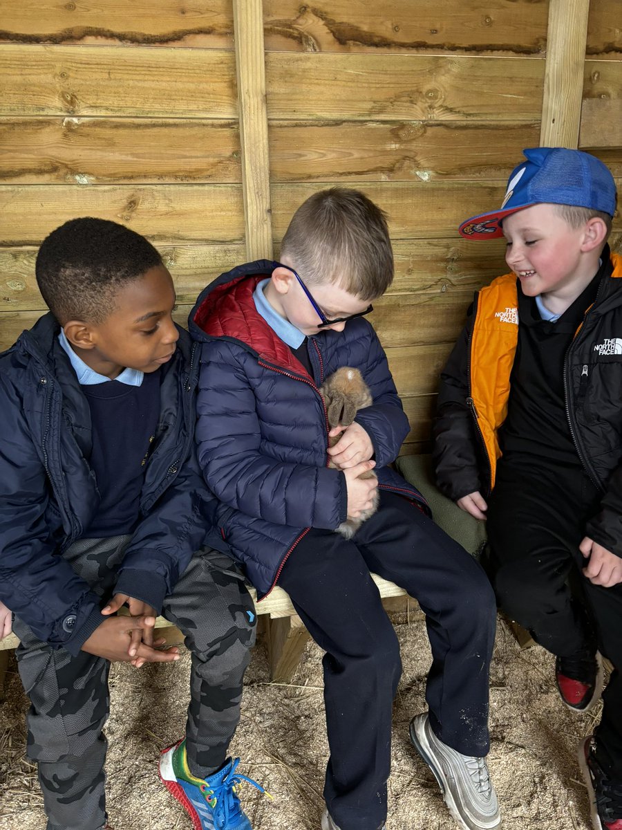 MrsMcAtear's tweet photo. Such a fantastic day at @finlaystonepark for our school trip. 😊🐰🐑🐷@stcatherinespsy @LSzalecki https://t.co/YkbBzFaFnI