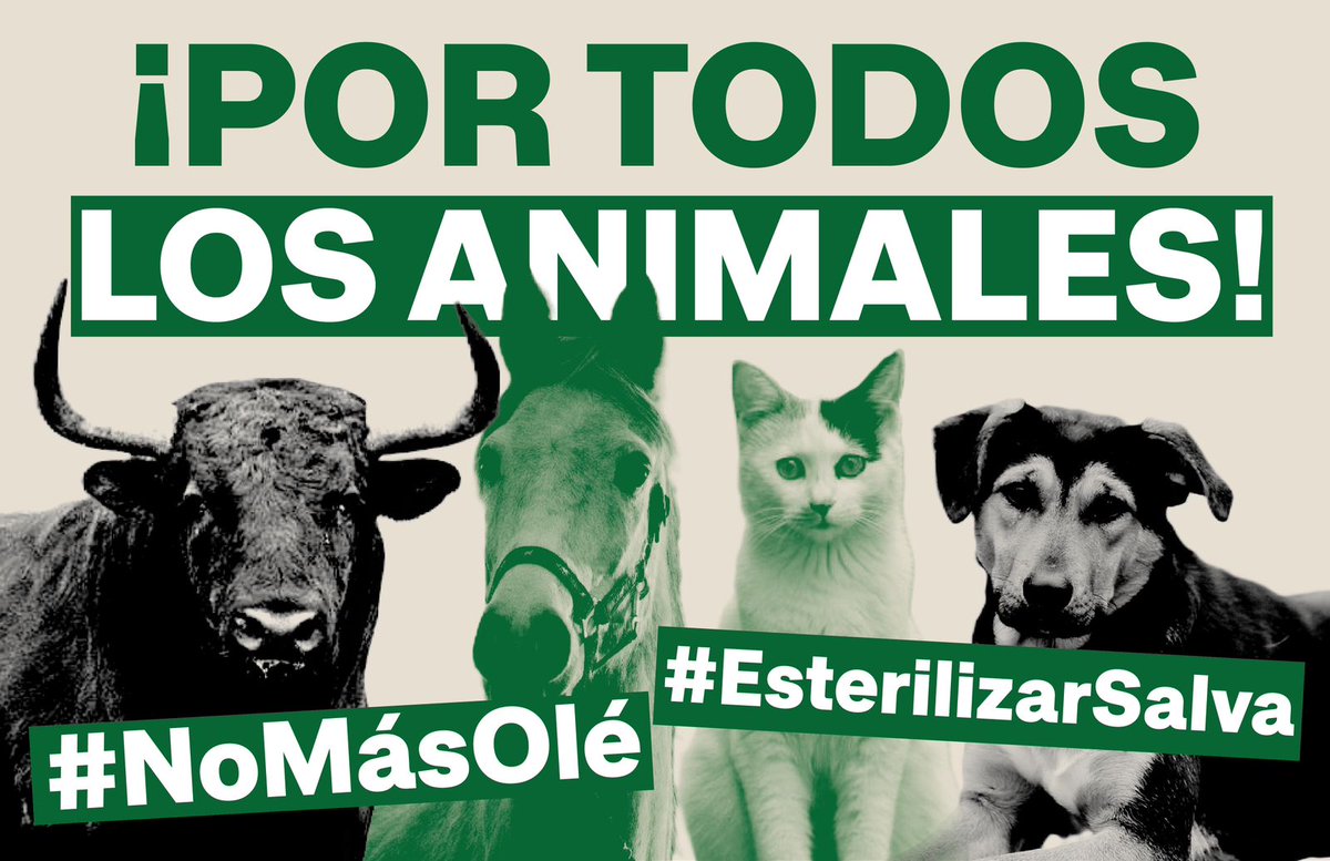 Hoy es un día importante para Colombia. Si hoy nos UNIMOS todos, acabamos con la crueldad con los toros y acabamos con la crisis que sufren los perros y gatos. 

Hoy decimos #NoMasOle y #EsterilizarSalva. Los que defendemos los animales debemos unirnos para hacer historia.