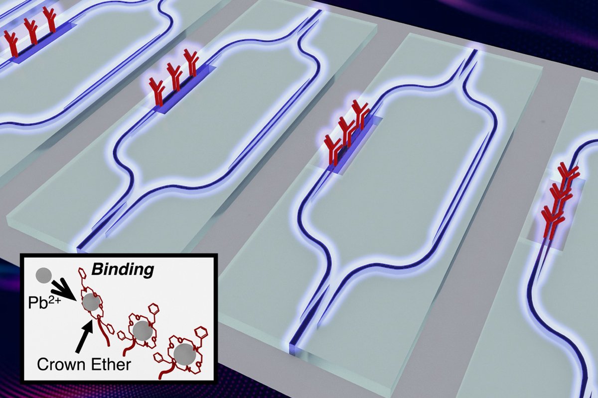 kamp_cees's tweet photo. Scientists develop an affordable sensor for lead contamination https://t.co/ytcytSE9OI https://t.co/iO9UW38etx