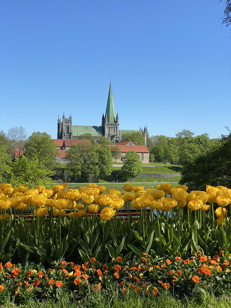 The Nidaros Cathedral in Trondheim and some flowers on a warm summer day ☀️