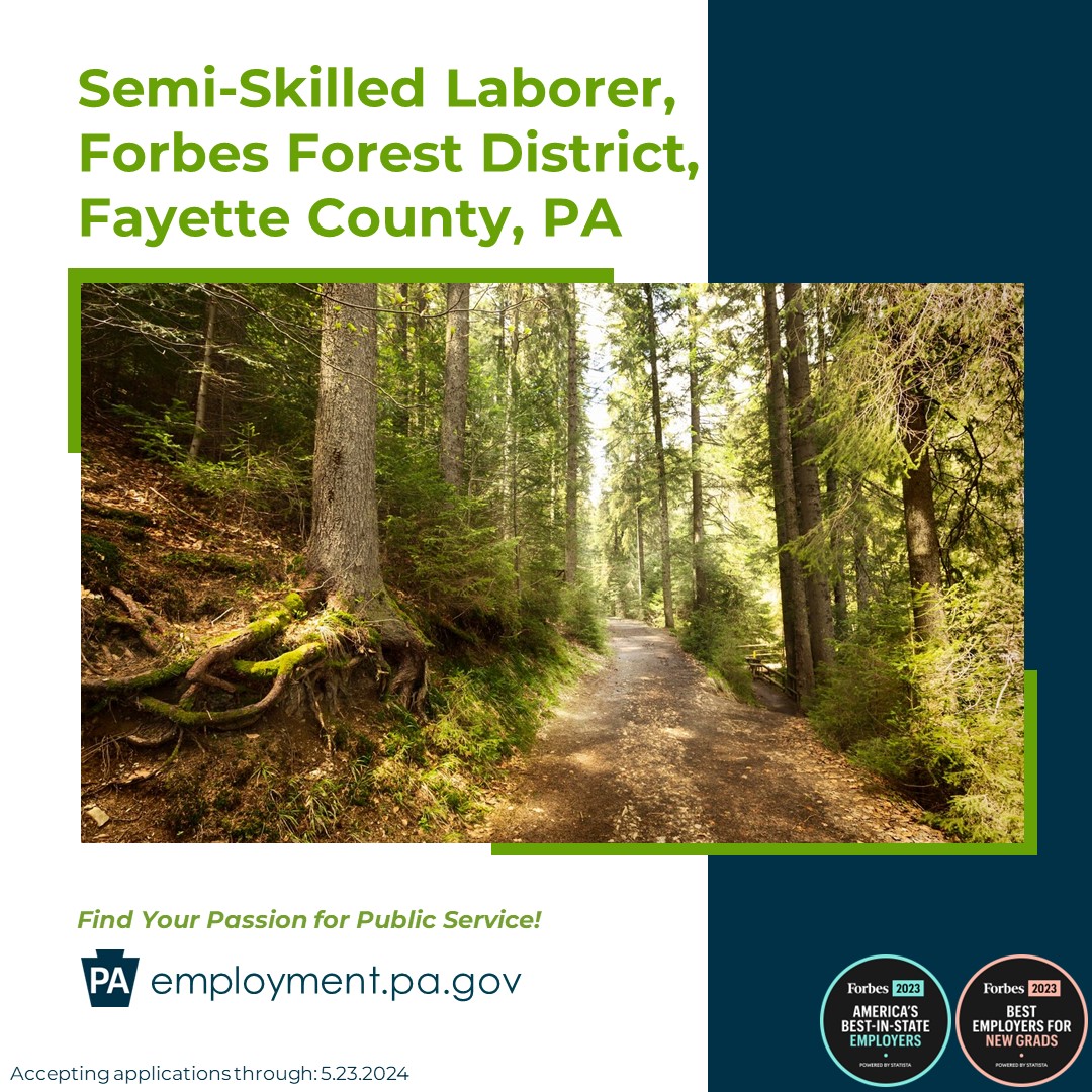 Are you passionate about conservation and the great outdoors? Do you have a knack for maintenance and a love for keeping nature pristine? DCNR is hiring a semi-skilled worker in #ForbesStateForest in Fayette County! Apply by May 23 ➡ bit.ly/3WBNBXa. #PaStateForests