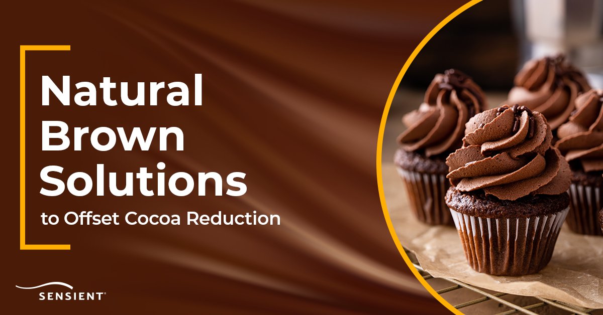 SensientColorNA's tweet photo. Sensient's natural brown solutions offer a sustainable substitute for cocoa in dry grocery products, providing rich color in all shades. This innovation gives food manufacturers a clean label alternative as cocoa prices skyrocket, climbing over 150% in the first quarter of 2024. https://t.co/SSDtfg31r6