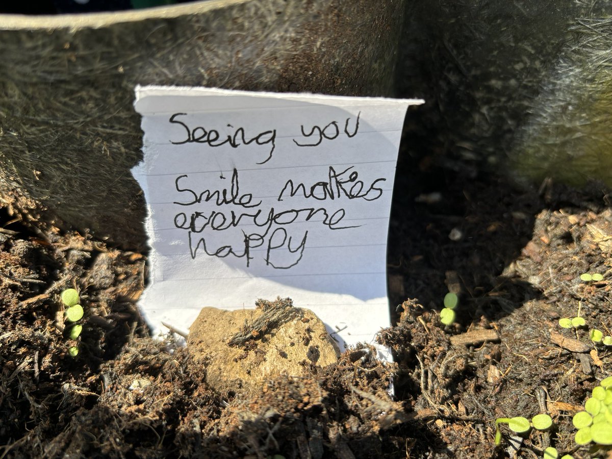 Walking up to the school gate to collect the afternoon children at lunchtime and find one of the older children had posted positive messages all around the playground. This one was in our freshly planted flowerpot and honestly made my day 😁❤️ #positivity