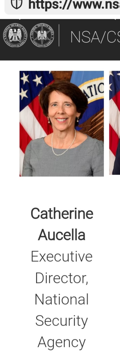 4nineSD's tweet image. As Matt Gaetz says: #dumpdei.
Apparently, white is not deemed socially accepted. Bigots, coming from WHITE NSA officials.
Photo source: NSA website.