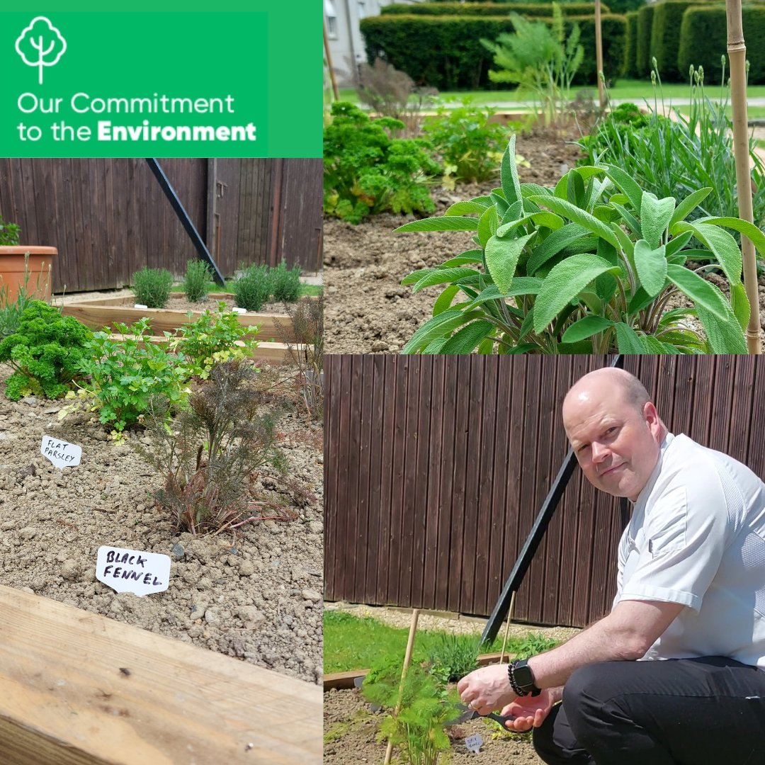 Introducing our newest addition: a vibrant herb garden for our chefs, elevating the freshness and finesse of our dishes! 🌱✨ 

These small but meaningful steps help us constantly improve our ongoing dedication to the environment and our ESG policy! 🌿