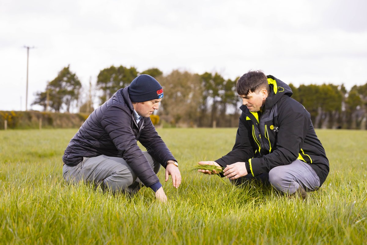 Get up-to-date with the latest reseeding and grassland management advice in our 2024 Grass and Forage Seed Brochure. Click here to read 👉 bit.ly/3QcPOnG #GreatGrass #Reseeding #Spring2024 #Farming #IrishFarming #Silage24