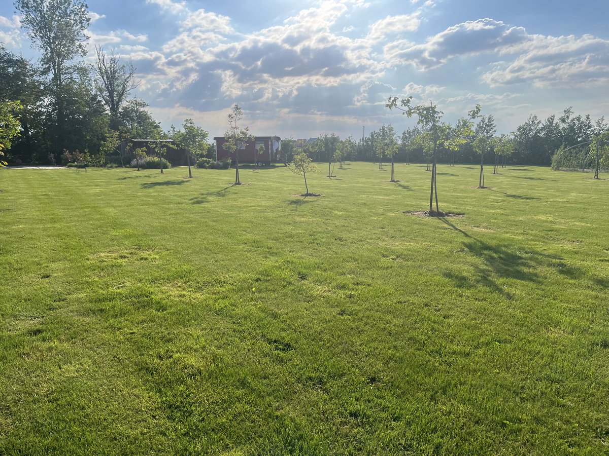 De natuur explodeert even lekker genieten in de walnotenboomgaard!!