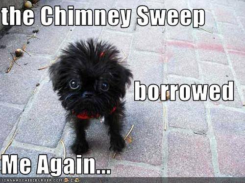 TN_Chimneysweep's tweet image. #Chimneysweep #Laughoutloud #Chimneys #Fireplace #Nashville #Bestchimneysweep #Chimneysweeptn
