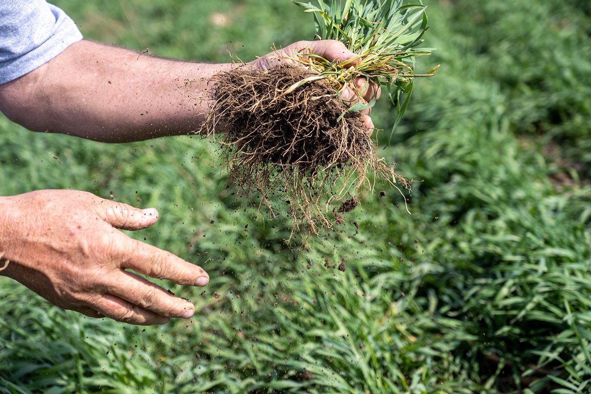 Farmers: Receive answers to your questions about 'carbon farming' programs in our upcoming webinar. ⬇️ 🔗 bit.ly/3weIP6X #AgTwitter #Farming #Agriculture #IowaAg @a_plastina