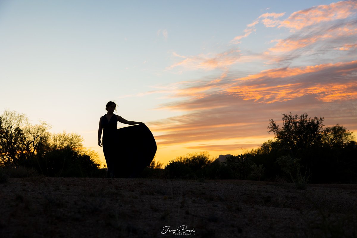 I love this image. It reminds me of the last scene of Act 1 of Gone with the Wind. #silhouette #sunset #arizona #azphotographer #chandlerphotographer #familyphotographer #seniorphotographer #portraitphotographer #superstitionwilderness
