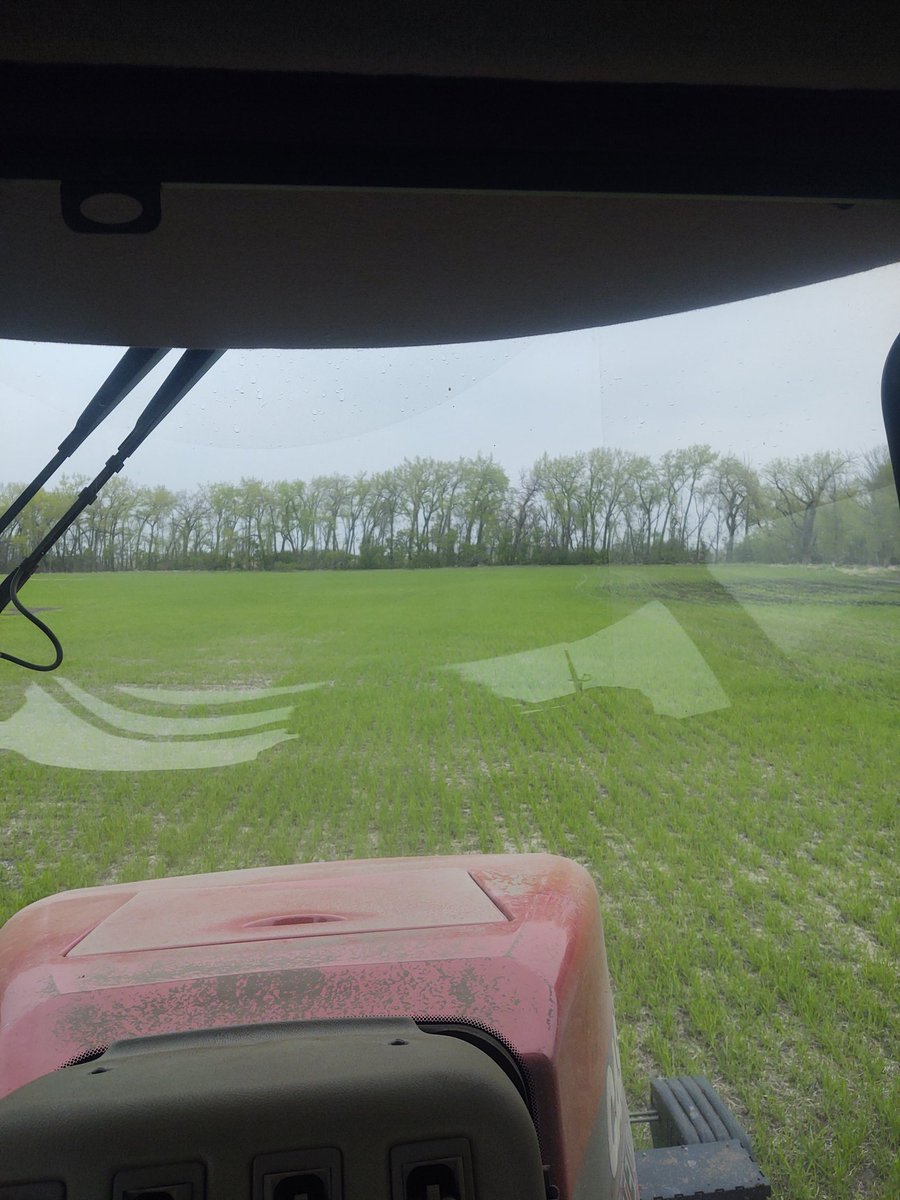 Putting Soys into winter Rye today