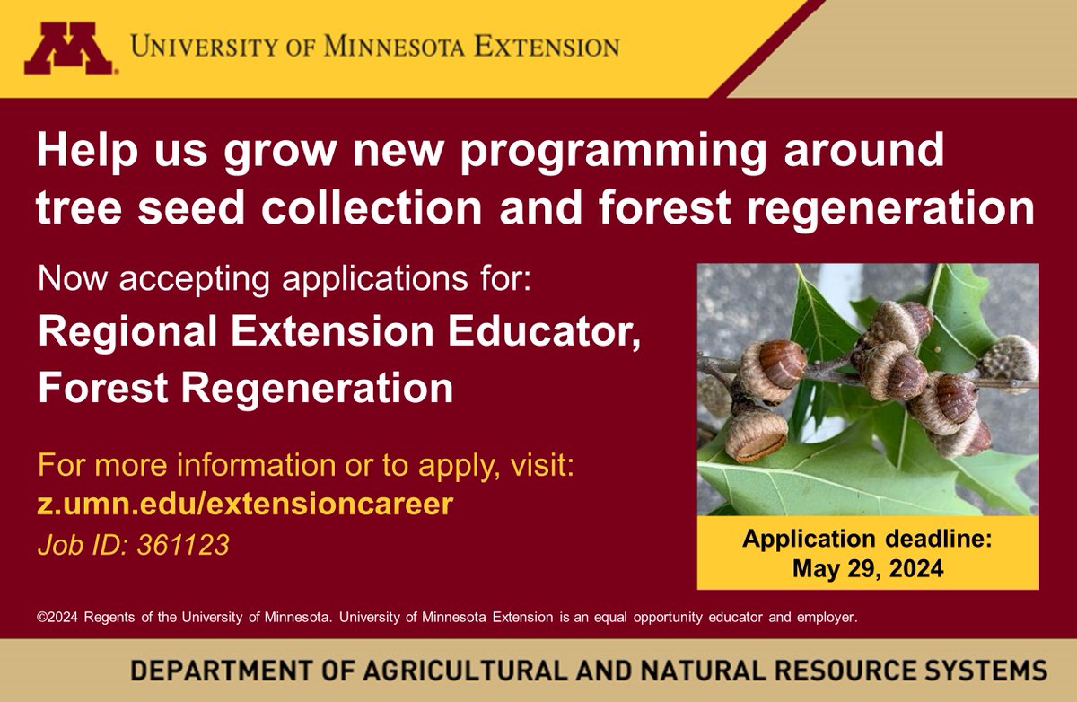 Eli Sagor tweet media